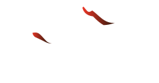 VulkanLAN